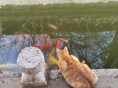-阳明祠
