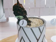 -二酉书店TOYOU BOOKS