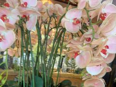 -八府香鸭·啫啫煲(华山路店)