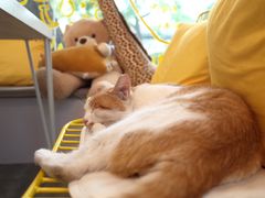 -五进制 Coffee Shop