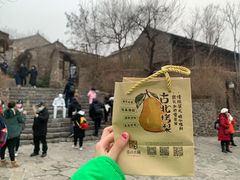 -古北烤梨