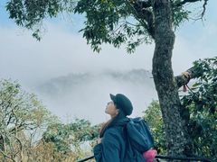 -云南屏边大围山国家公园