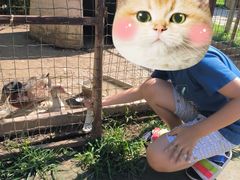 -意大利农场度假村