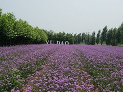 -渔岛海洋度假区