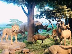 -国家自然博物馆