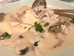 鱼汤豆腐煮桂花鱼-正佳广场万豪酒店-粤菜餐厅·点心·海鲜·聚餐