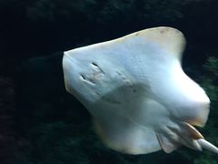 景点-郑州海洋馆