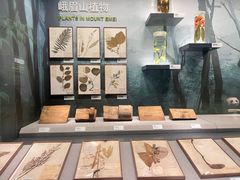 -四川大学博物馆