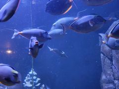 -成都浩海立方海洋公园