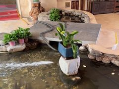 -顺峰·粤菜海鲜·早茶自助(阜成店)