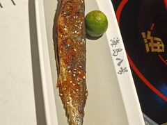 -海岛八号龙虾烧烤田鸡(蓝天路总店)