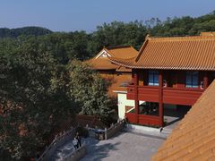 -深圳仙湖植物园