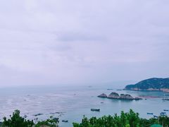 -枸杞岛