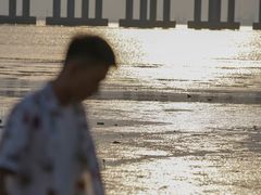 -宝安西湾红树林湿地公园