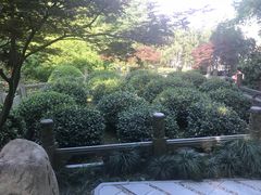 -十八棵（老龙井）御茶园(老龙井店)