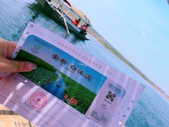 -白洋淀景区
