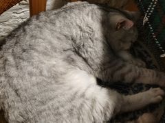 -不舍昼夜咖啡馆