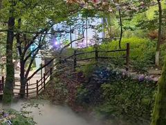 -云丘山景区