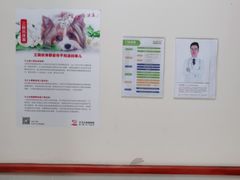 -艾贝尔宠物医院 ·内科全科(梁溪路店)