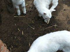 -丹香(乳山利群店)