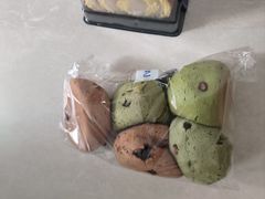 -泉州海丝野生动物世界