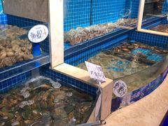 八爪鱼-乔哥铭洋海鲜自助(皇城恒隆广场店)