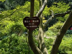 -岳麓山风景名胜区