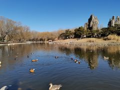 -北京野生动物园