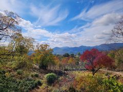 -塔川景区