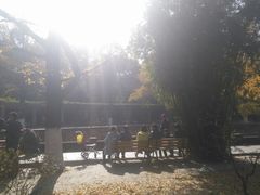 -四川大学(华西校区)