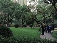 -晓港公园