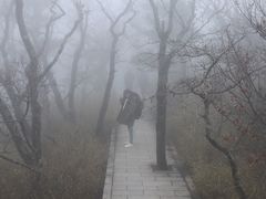 -牛背梁国家森林公园