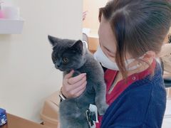 -美联众合动物医院·24h京西诊疗中心