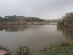 -白鹭湾湿地公园