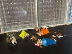 -shark burger·鲨鱼汉堡(交子大道店)