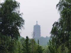 -永定河休闲森林公园