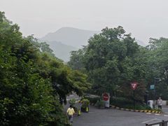 -中国茶叶博物馆(双峰馆区)