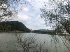 -浙江科技大学(小和山校区)