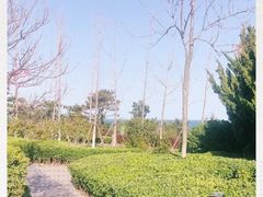 -海合安青岛极地海洋公园