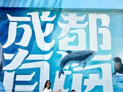 -海合安成都极地海洋公园