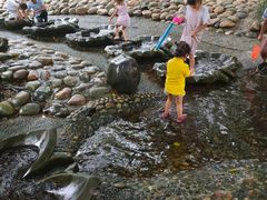 -成都市活水公园