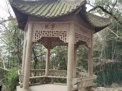 -上海佘山国家森林公园天马山园