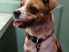 -神仙馆(衡山路店)