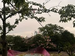 -佛山华盖山公园