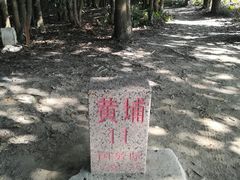 -黄埔油麻山森林公园