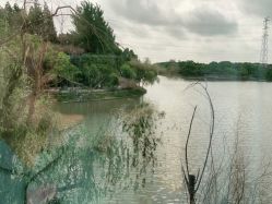 -卓玥国际月子会所(罗山路店)