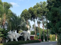 -云南民族村