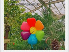-南宫五洲植物乐园