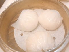 -糖朝(尖沙咀店)