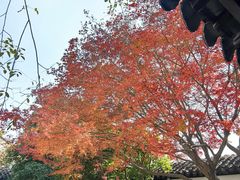 -虞山风景区